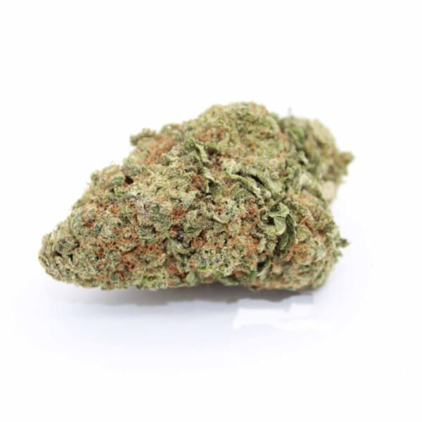 Girl Scout Cookies Strain