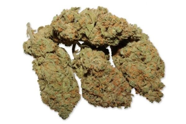 White Widow Strain